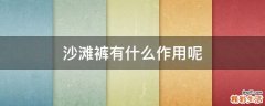 沙滩裤有什么作用呢
