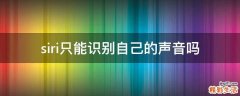 siri只能识别自己的声音吗