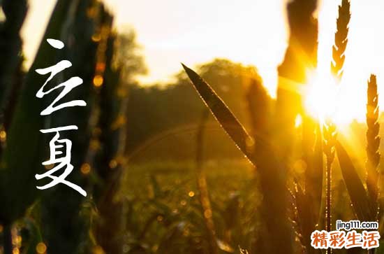 立夏祝福语微信发朋友圈 2023立夏简单特别的祝福语