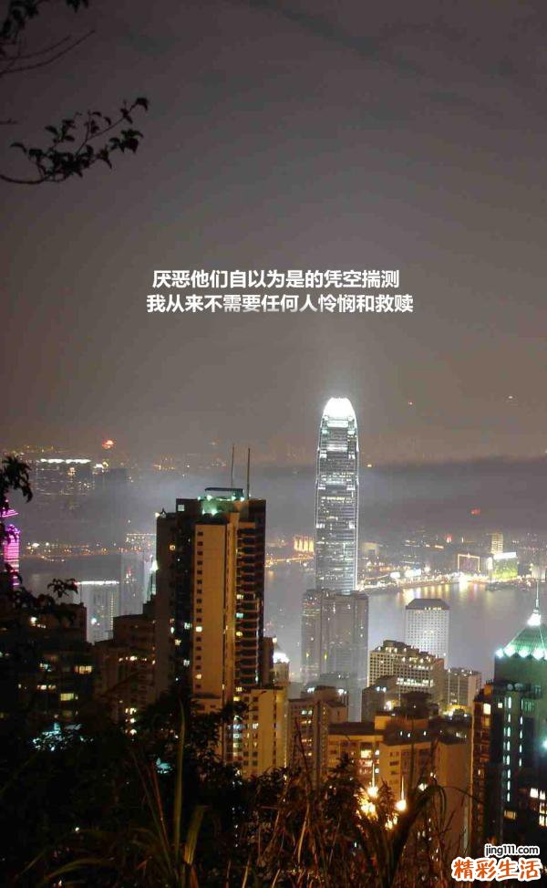 2 光叶水苏