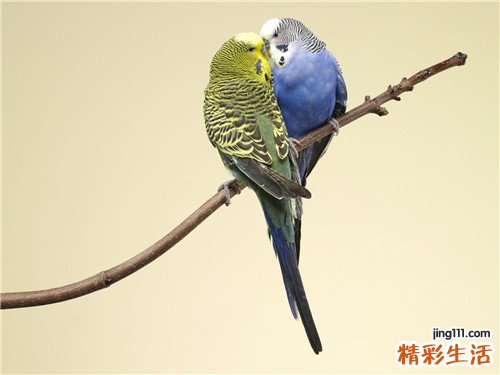 2 白领巧用八妙招 让肠胃病远离你