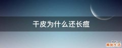 干皮为什么还长痘