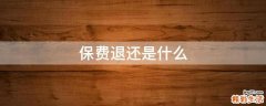 保费退还是什么