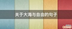 关于大海与自由的句子