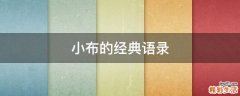 小布的经典语录