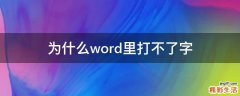 为什么word里打不了字