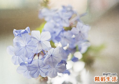 2 午睡好不好 会不会睡很重要