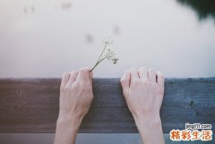 白领巧用八妙招 让肠胃病远离你