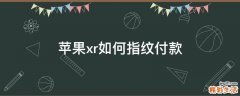 苹果xr如何指纹付款