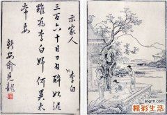 3 桂木干