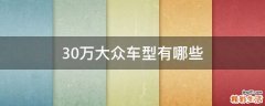 30万大众车型有哪些