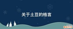 关于土豆的格言