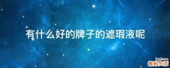 有什么好的牌子的遮瑕液呢