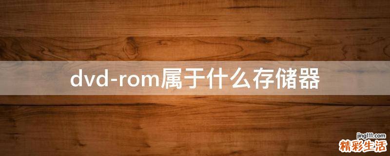 dvd-rom属于什么存储器