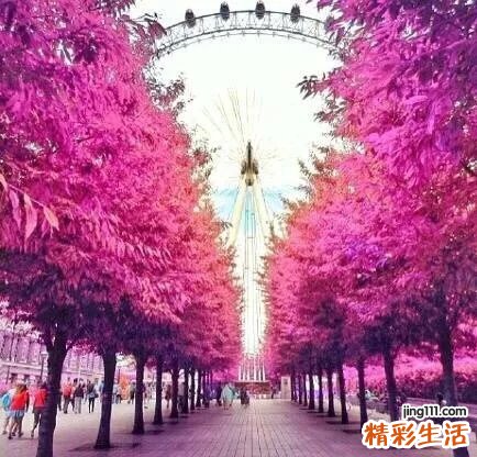 夏季护肤应该吃什么