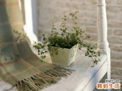 硬红斑的病理改变