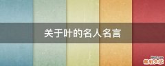 关于叶的名人名言