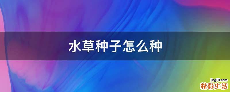 水草种子怎么种