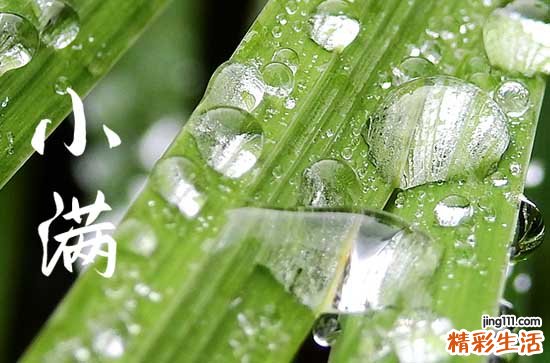 小满节气唯美文案 小满节气文案说说