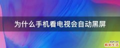 为什么手机看电视会自动黑屏