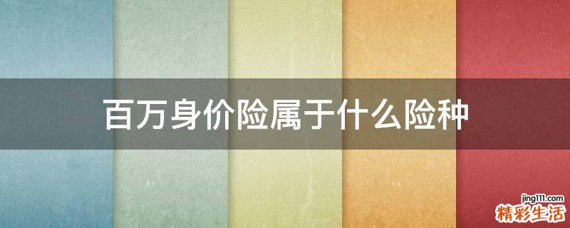 百万身价险属于什么险种