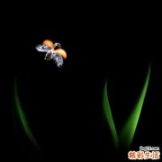 2 白领如何通过喝水来保健