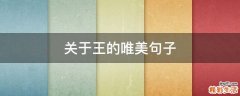 关于王的唯美句子