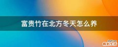 富贵竹在北方冬天怎么养