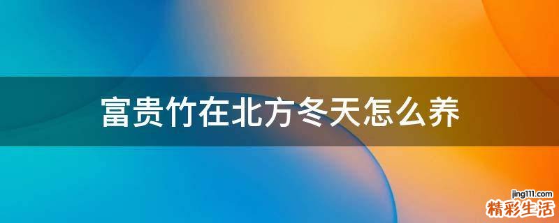 富贵竹在北方冬天怎么养