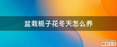 盆栽栀子花冬天怎么养