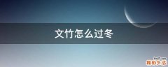 文竹怎么过冬
