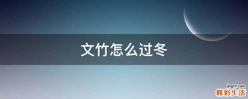 文竹怎么过冬