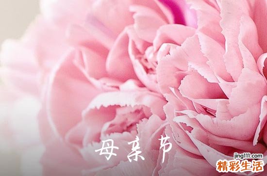 母亲节主题标语 关于母亲节的标语