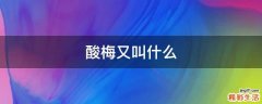 酸梅又叫什么