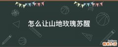怎么让山地玫瑰苏醒