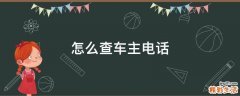 怎么查车主电话