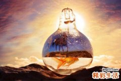 孕妇能吃高丽参吗
