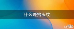 什么是抬头纹