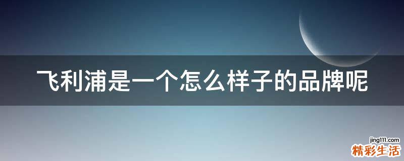 飞利浦是一个怎么样子的品牌呢