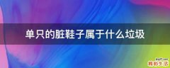 单只的脏鞋子属于什么垃圾