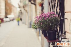 贪吃海鲜小心惹上急性荨麻疹