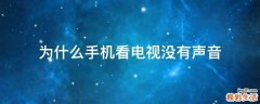为什么手机看电视没有声音