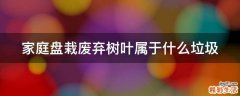 家庭盘栽废弃树叶属于什么垃圾