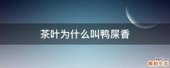 茶叶为什么叫鸭屎香
