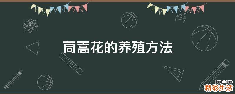 茼蒿花的养殖方法