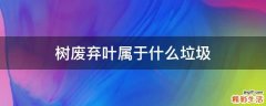 树废弃叶属于什么垃圾