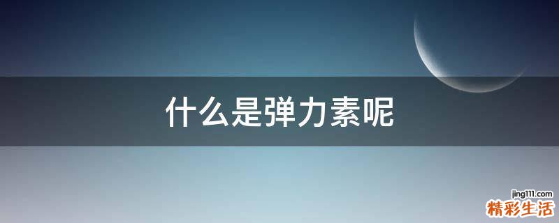 什么是弹力素呢