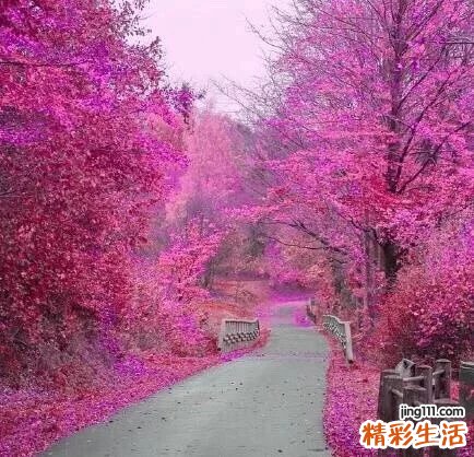 2 妇检有些项目不能“省”