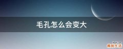 毛孔怎么会变大