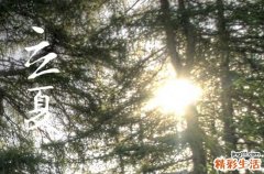 立夏节气吃什么养生粥2023 立夏节气有哪些养生要点